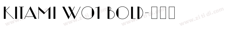 Kitami W01 Bold字体转换